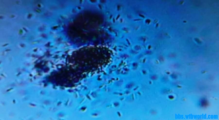 wechat_upload16001529905f60659eab293