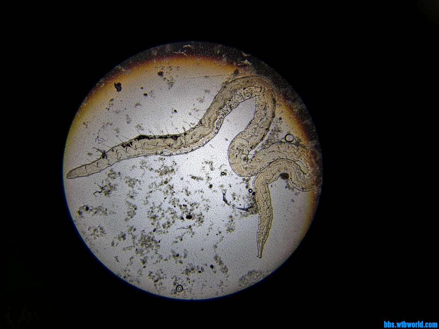 wechat_upload16002267915f6185e7a05b9