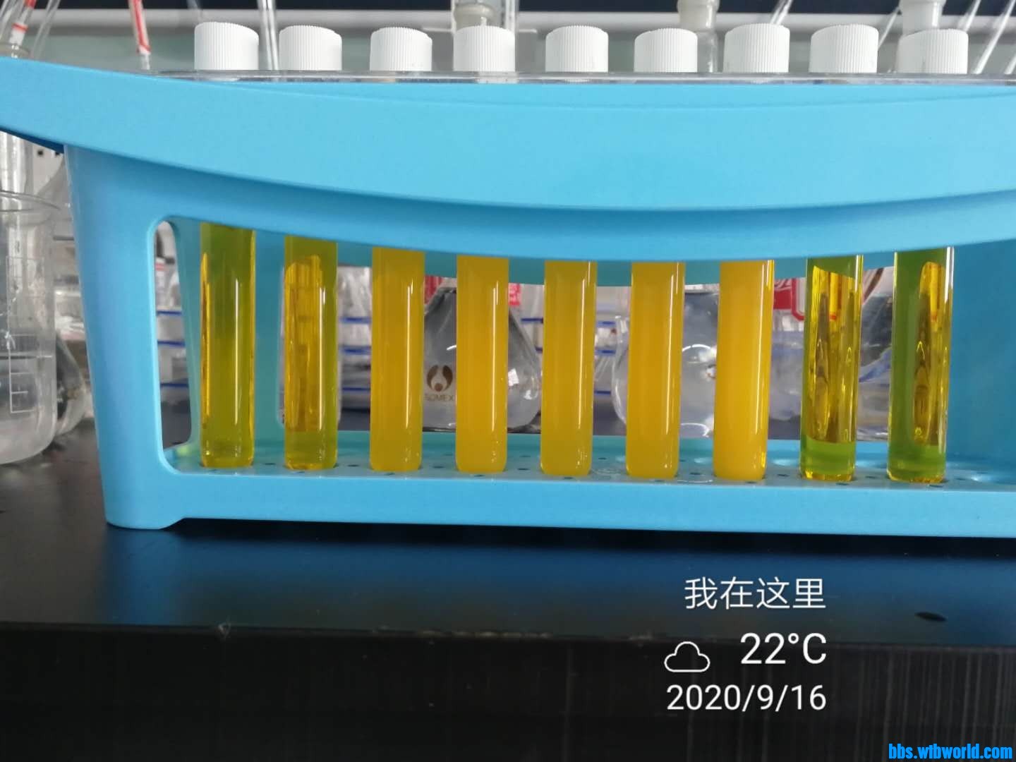 wechat_upload16002324355f619bf397a77