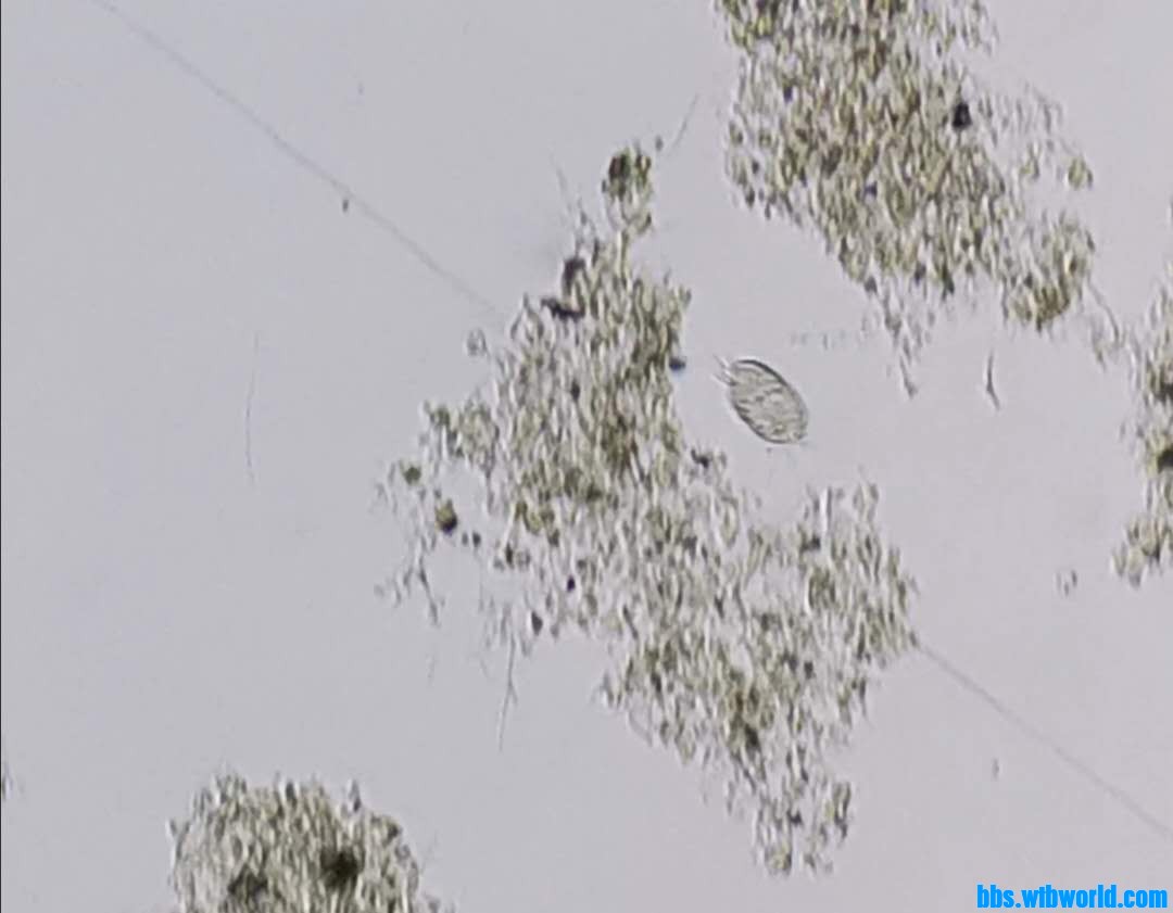 wechat_upload16002395645f61b7ccbfecd