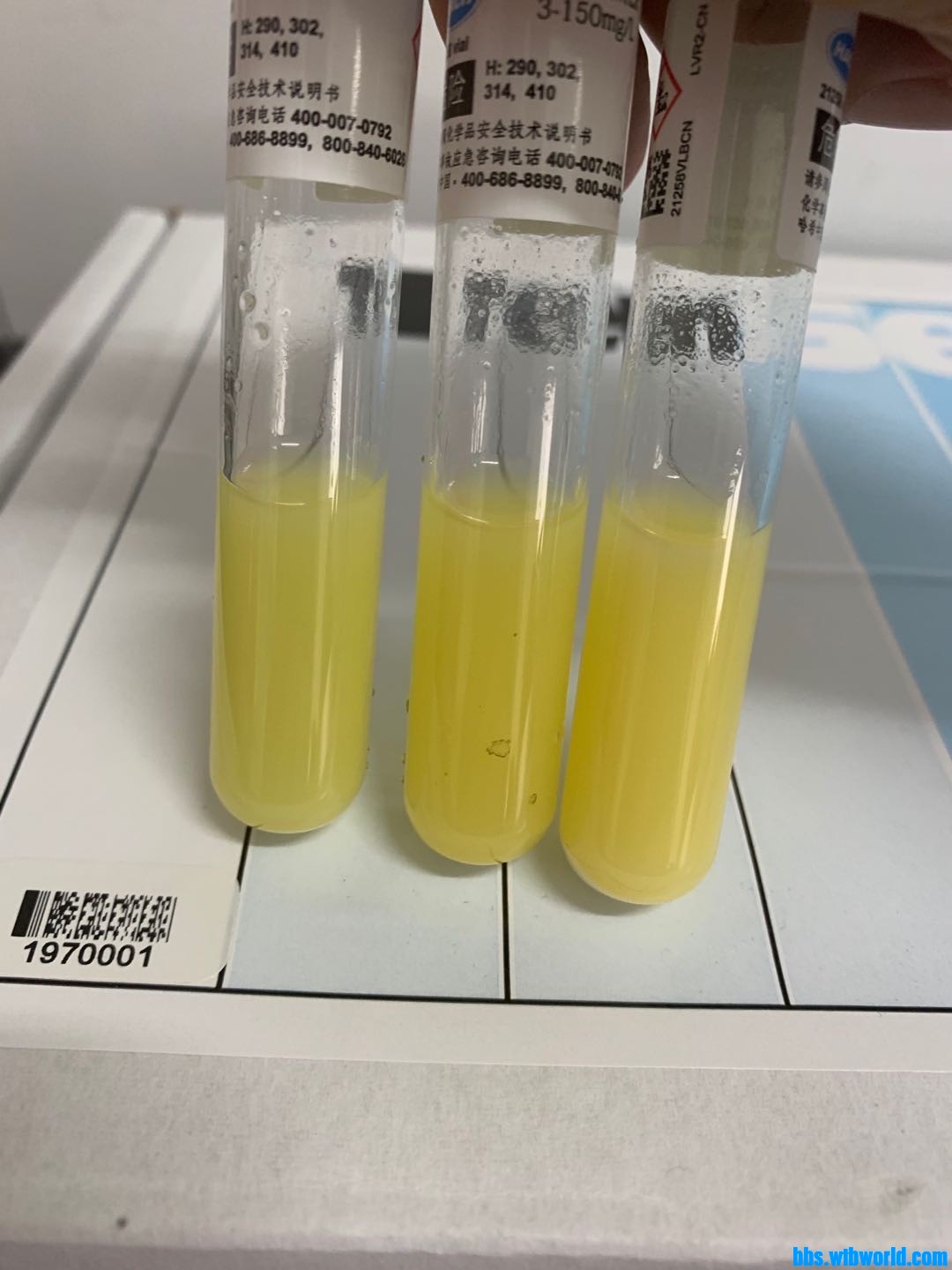 wechat_upload16004362575f64b821d9718