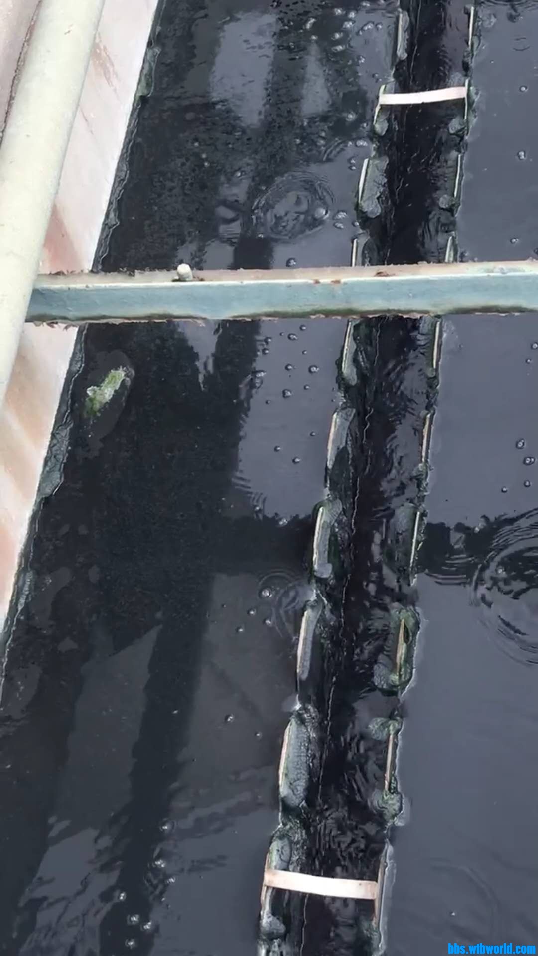 wechat_upload16014474875f74263f571c0