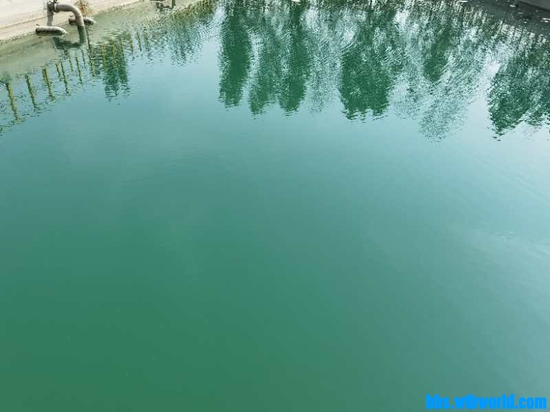 wechat_upload16016479365f77354075058