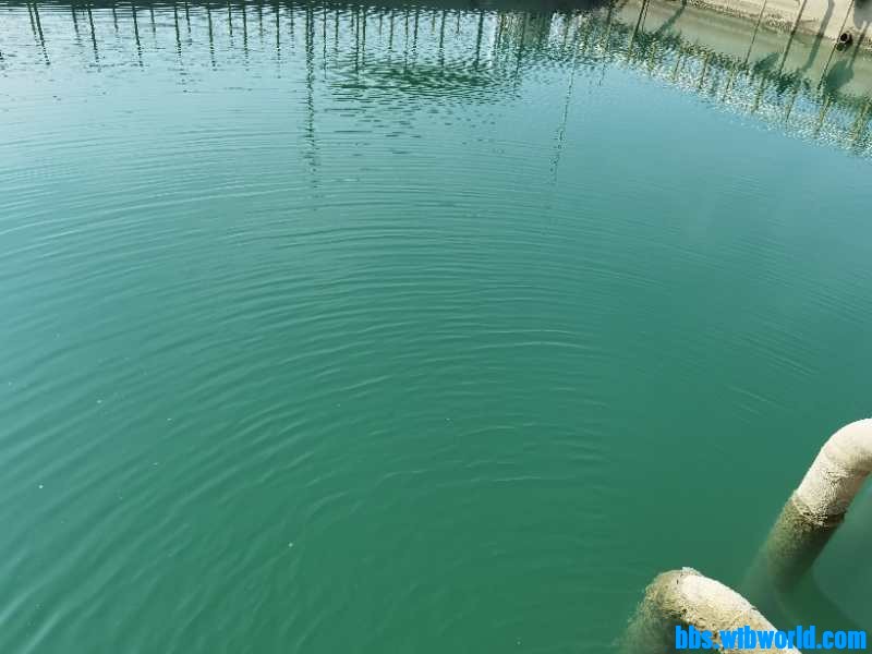 wechat_upload16016479365f773540b1aa7