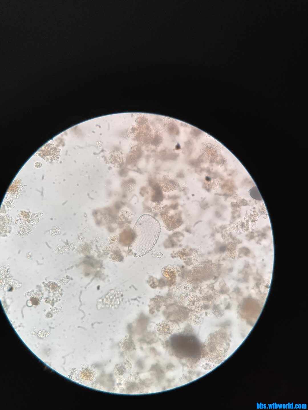 wechat_upload16019048295f7b20bdd3af0