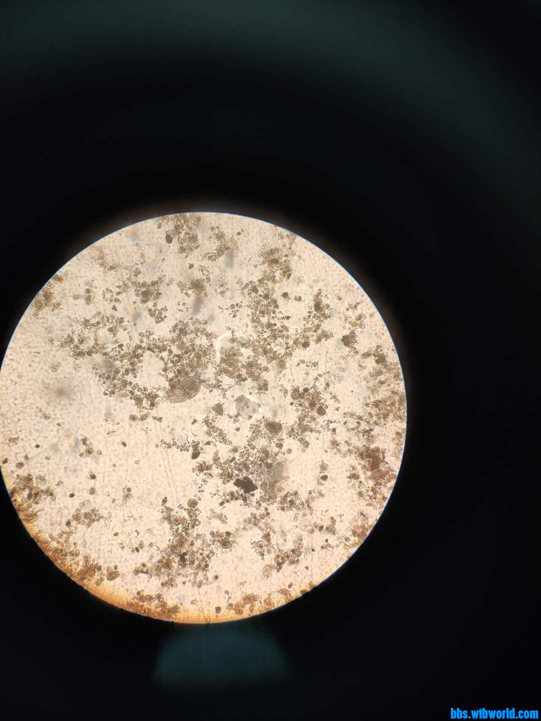 wechat_upload16019048305f7b20be78193