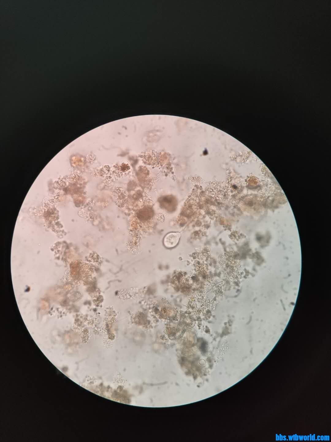 wechat_upload16019048305f7b20be051e9