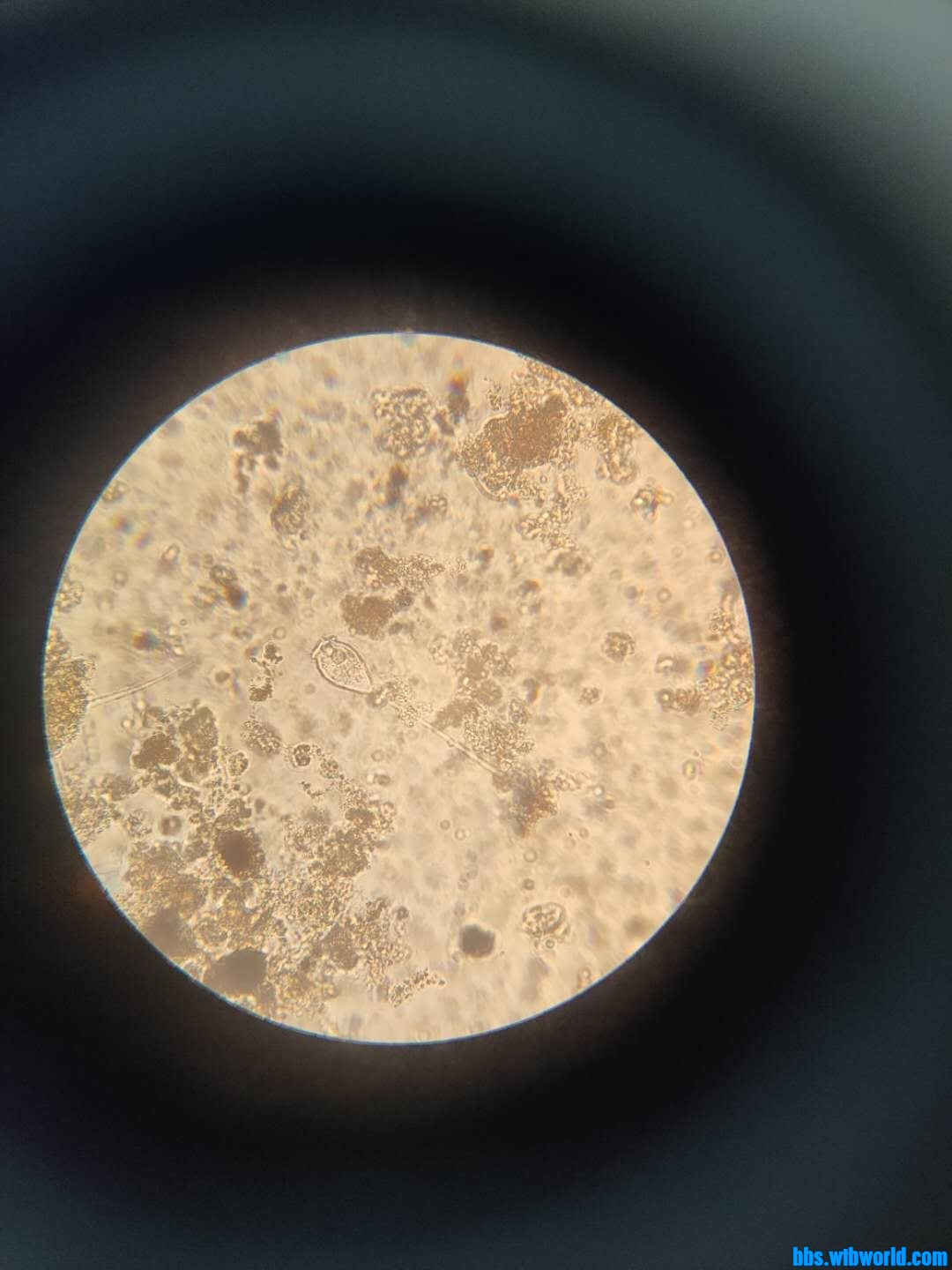 wechat_upload16019048305f7b20be503ec