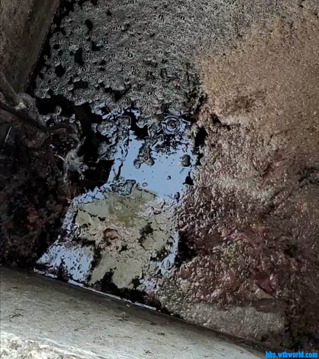 wechat_upload16020638925f7d8e142b325