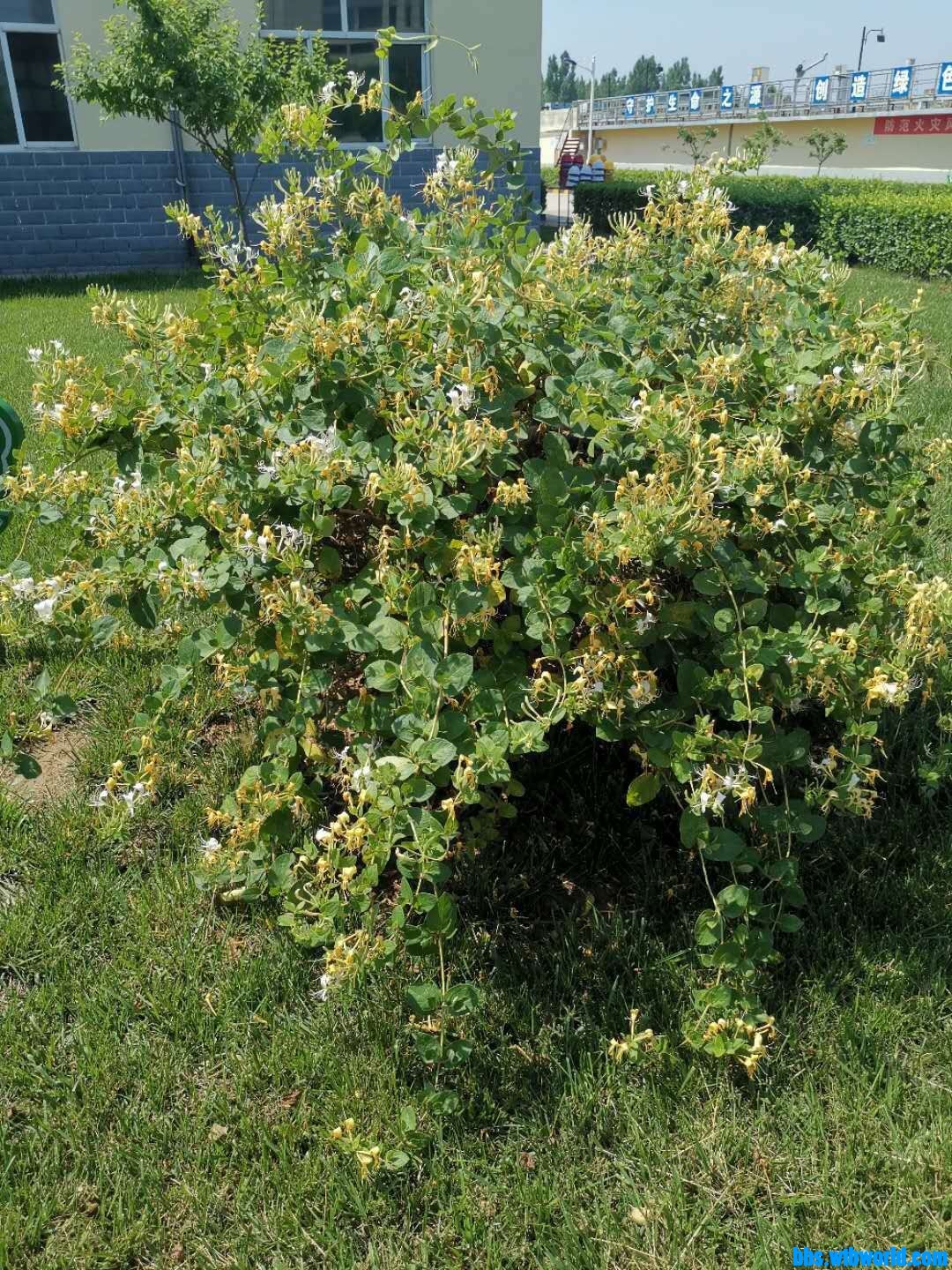 wechat_upload16020654875f7d944f70164