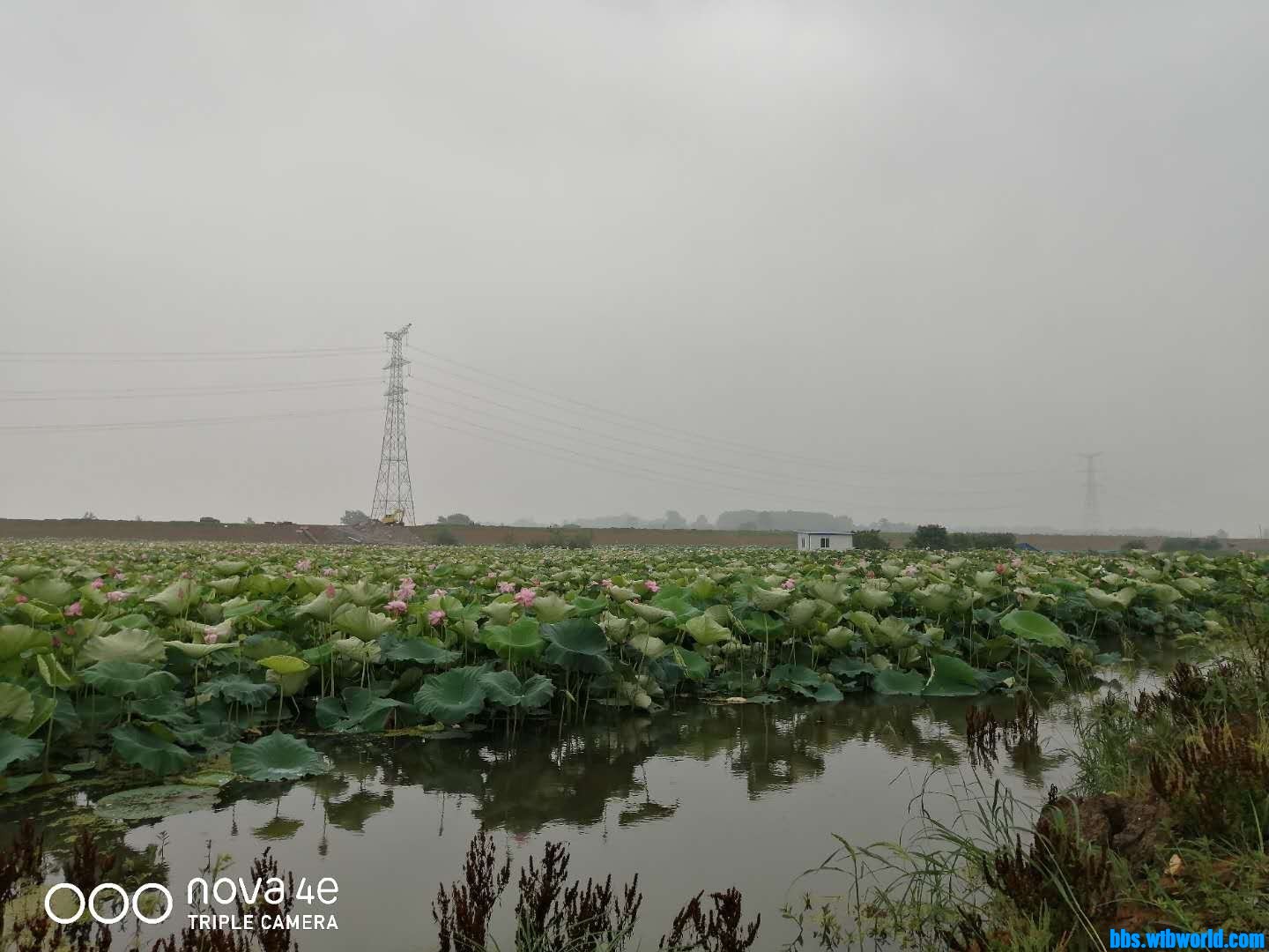 wechat_upload16020760365f7dbd84e62a9