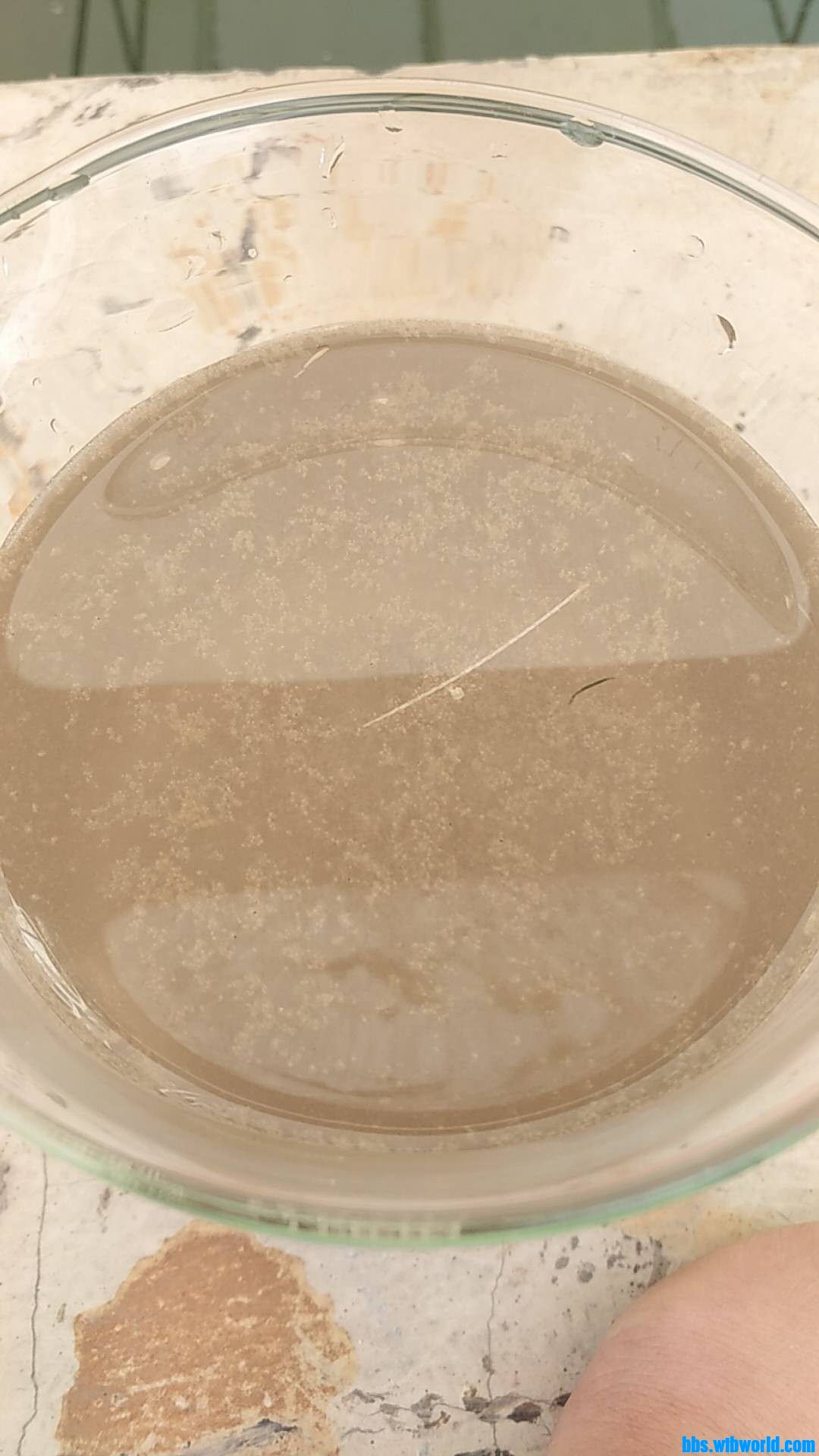 wechat_upload16023002445f8129548fcc9