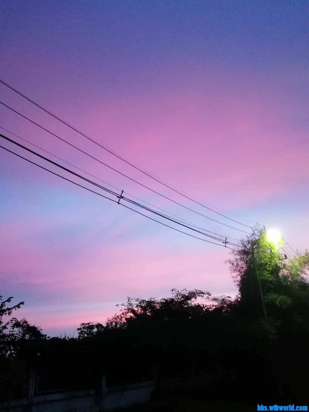 wechat_upload16023014725f812e207515b