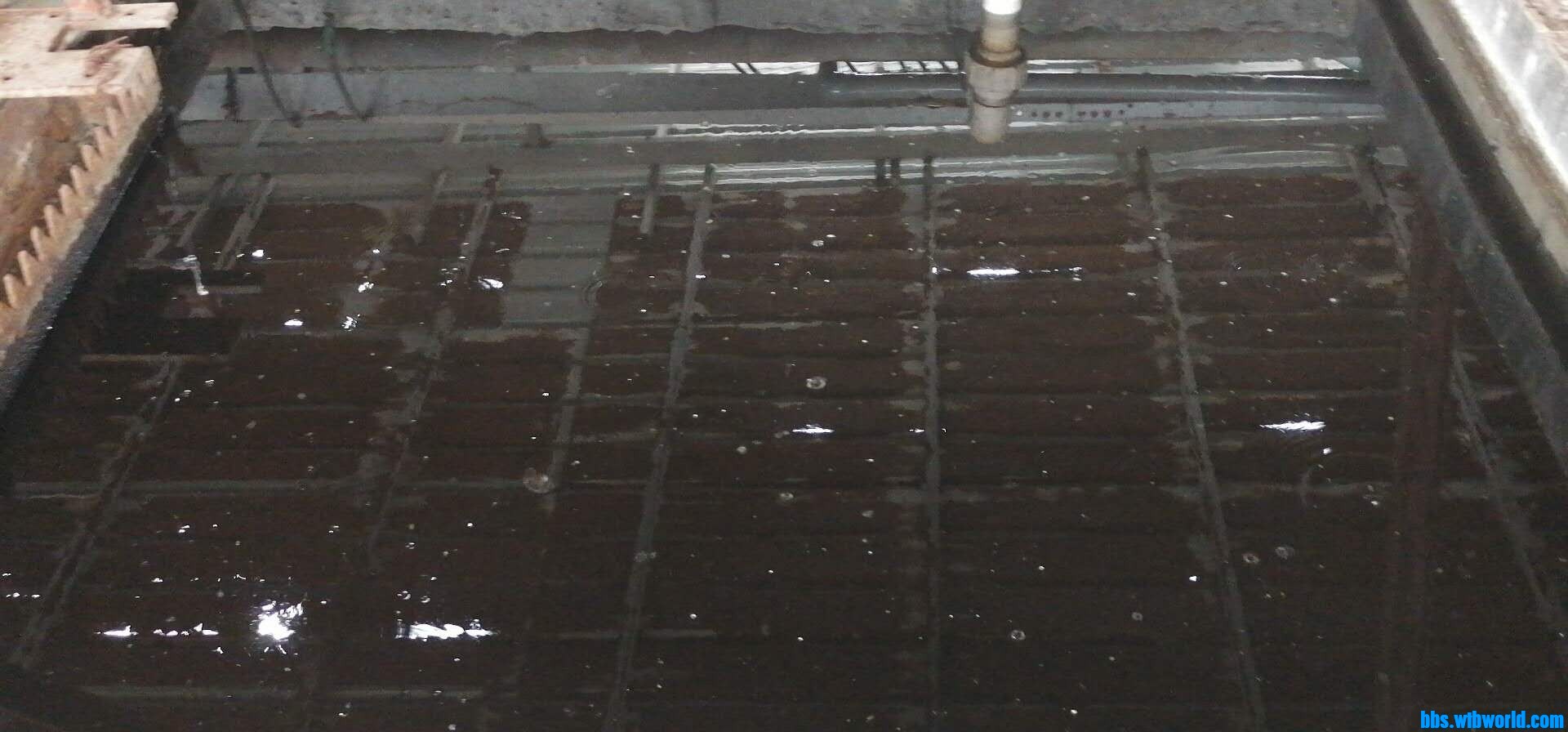 wechat_upload16023133275f815c6f5a0b9