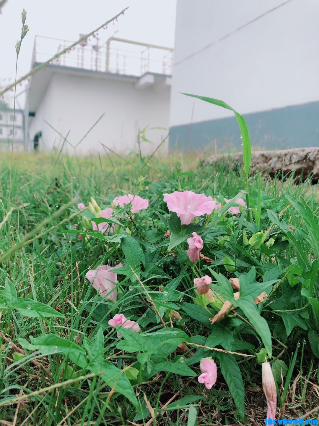 wechat_upload16025330555f84b6bfa1062