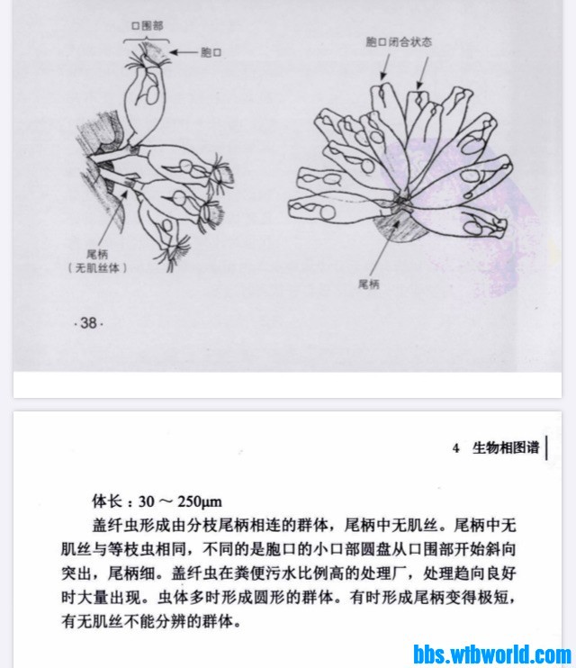 wechat_upload16025809845f8571f8d8b26