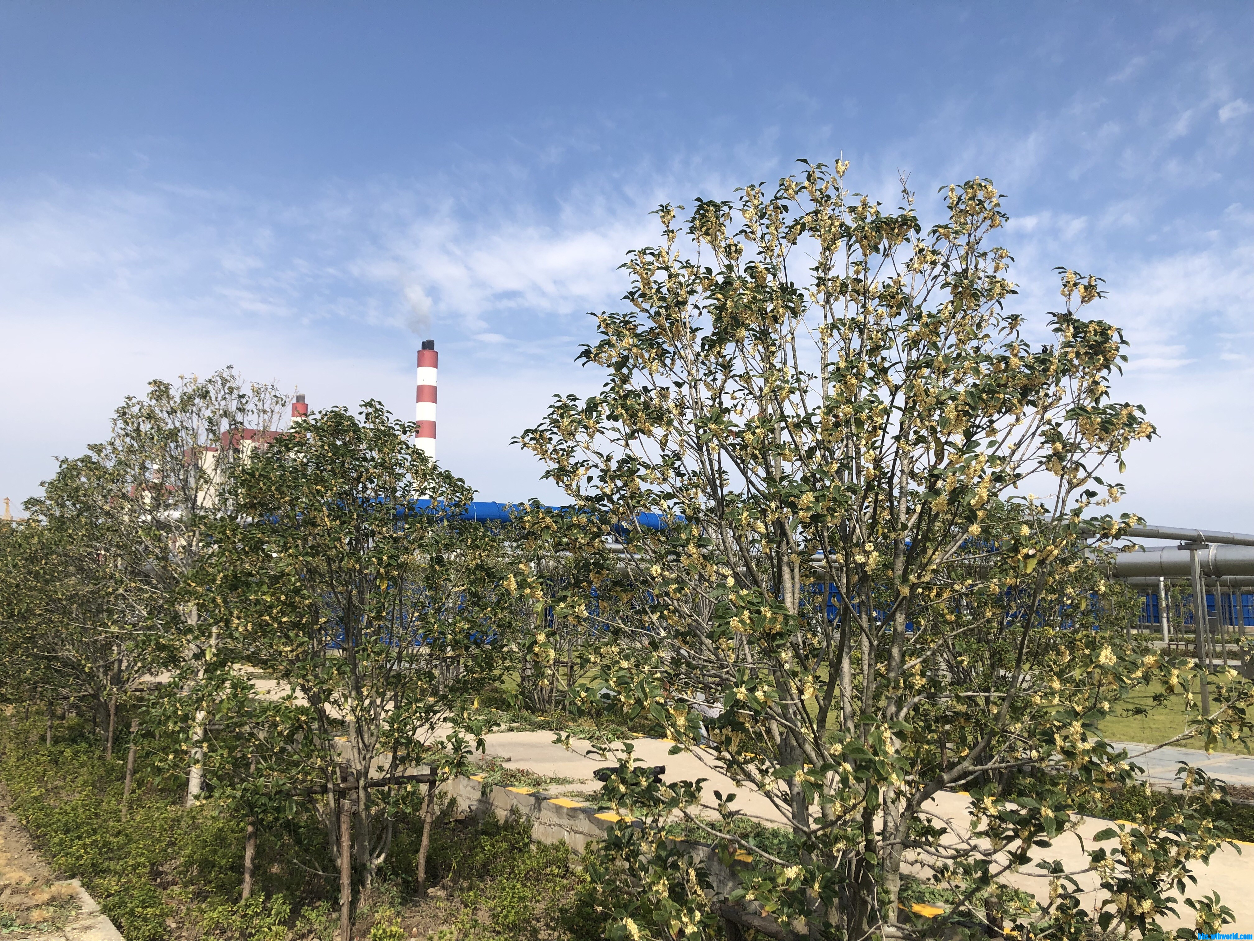 wechat_upload16030309755f8c4fbf750a7