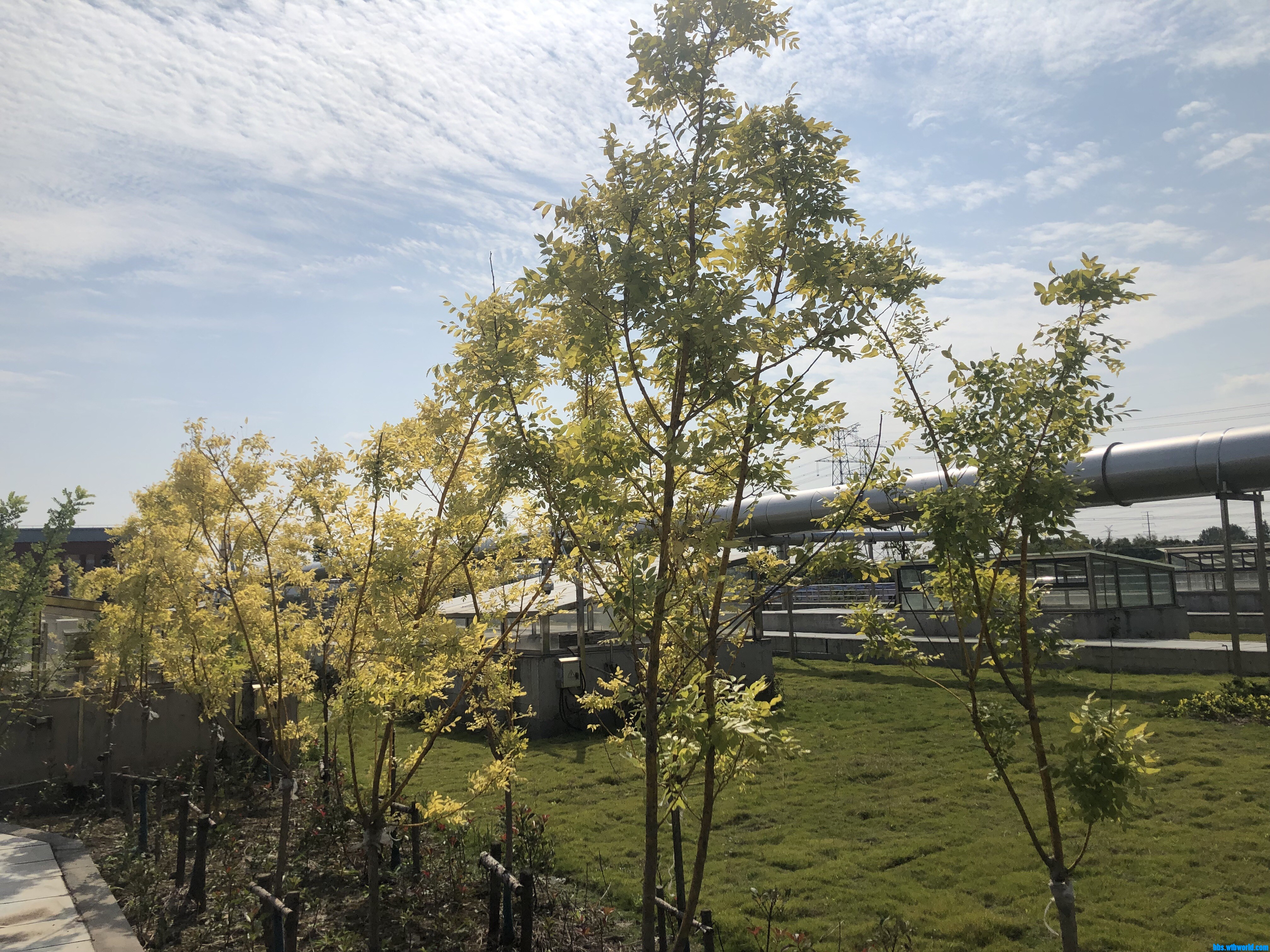 wechat_upload16030309775f8c4fc187775