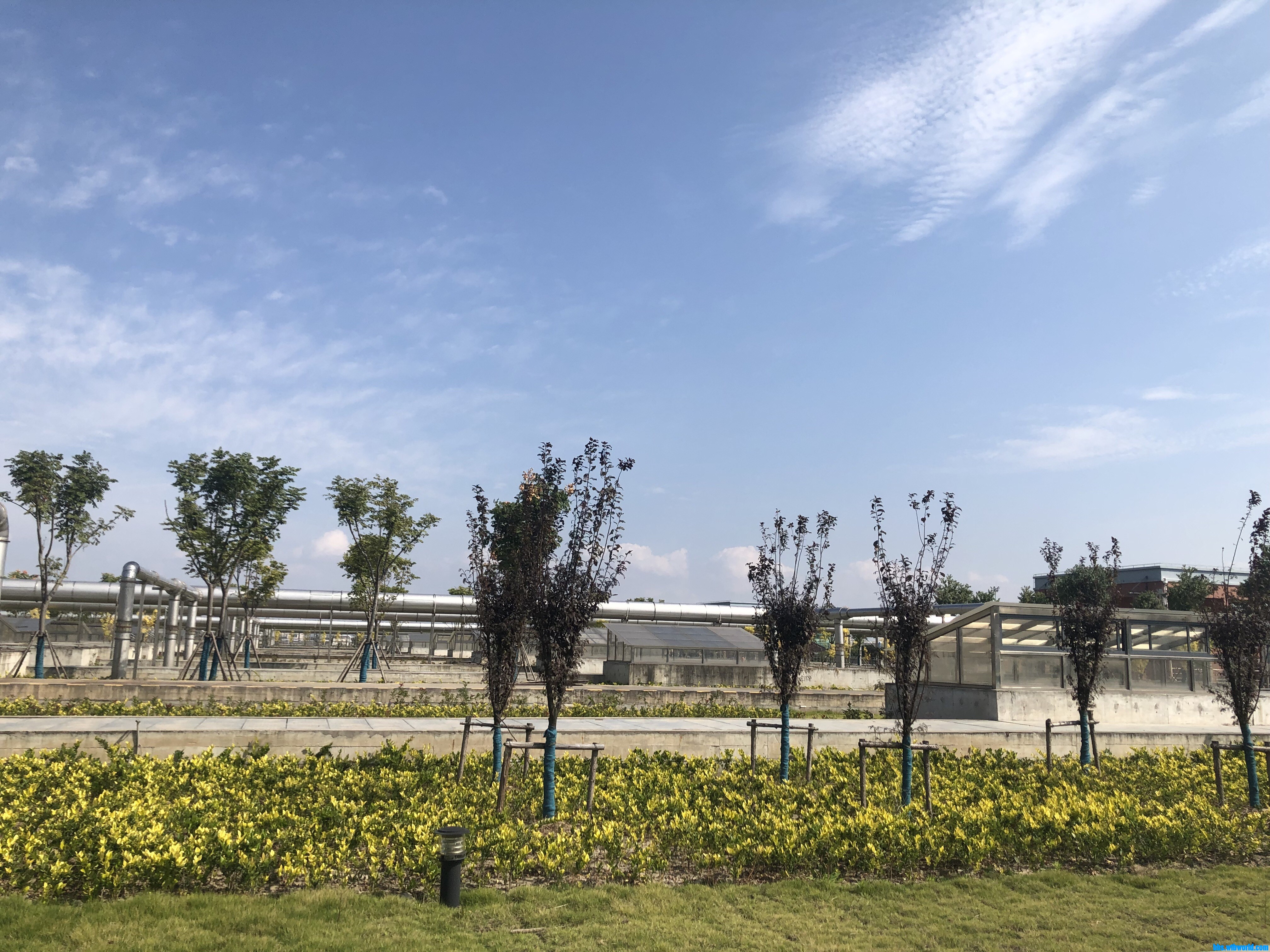 wechat_upload16030309785f8c4fc23a994