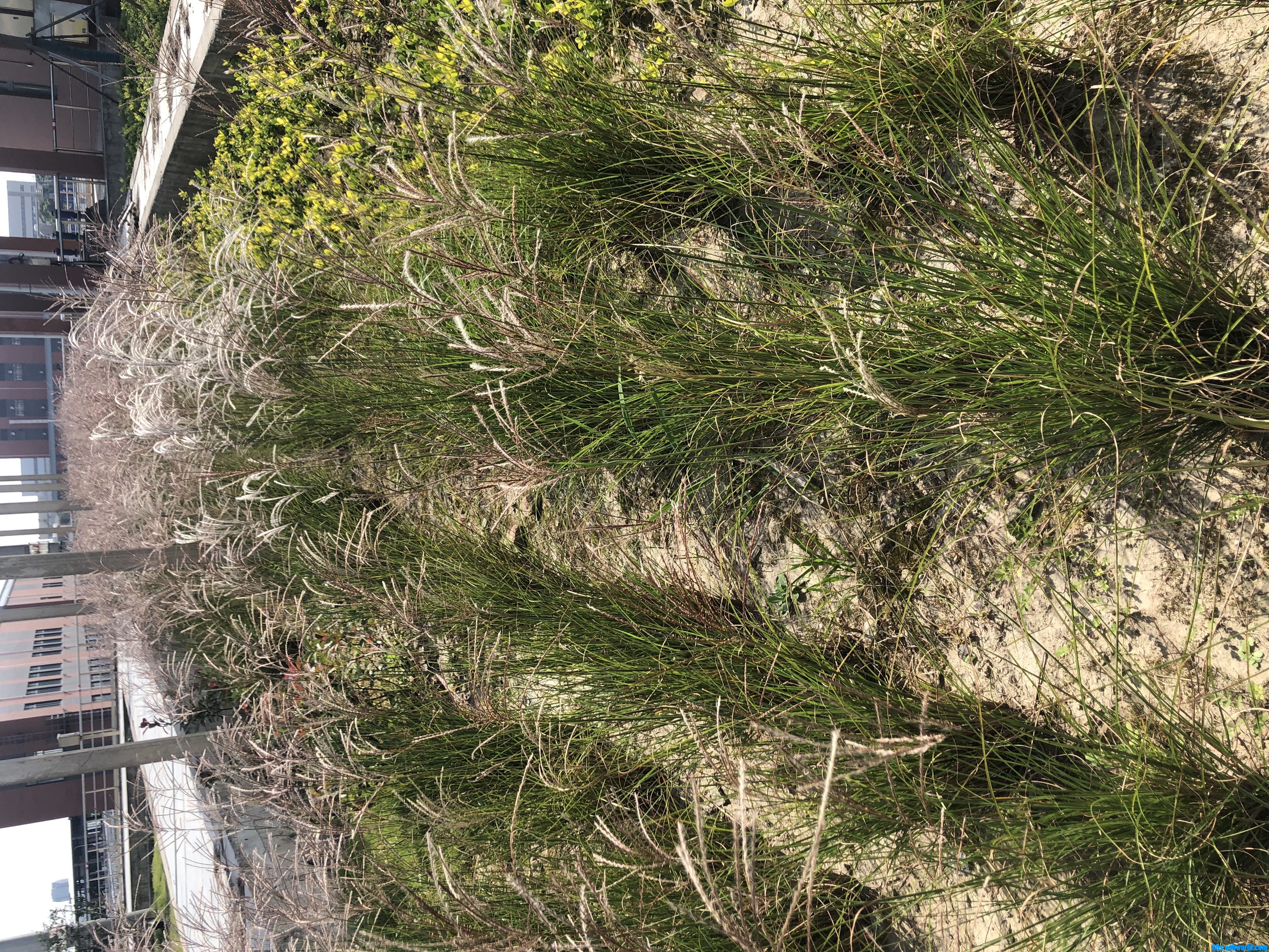 wechat_upload16030309795f8c4fc312e9c