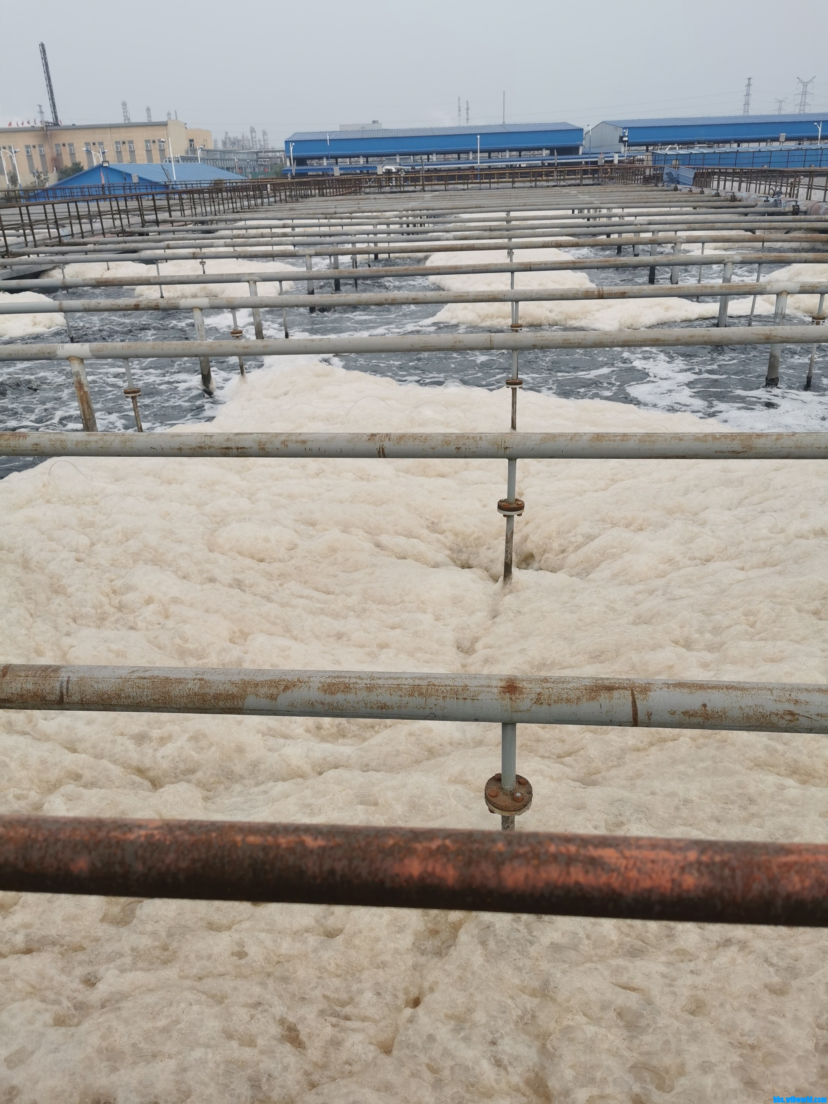 wechat_upload16033696085f917a88ea323