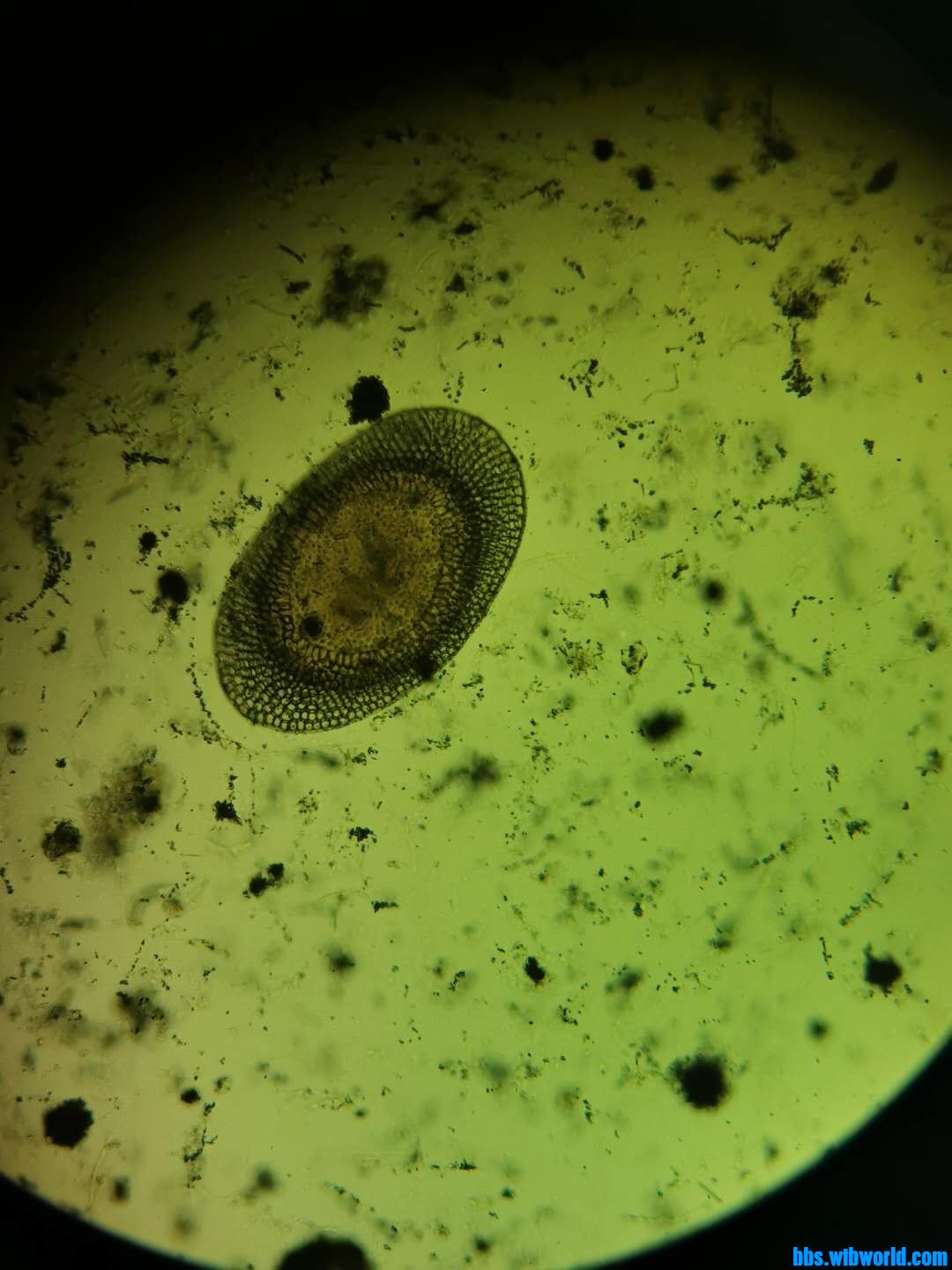 wechat_upload16040298455f9b8d951f52f