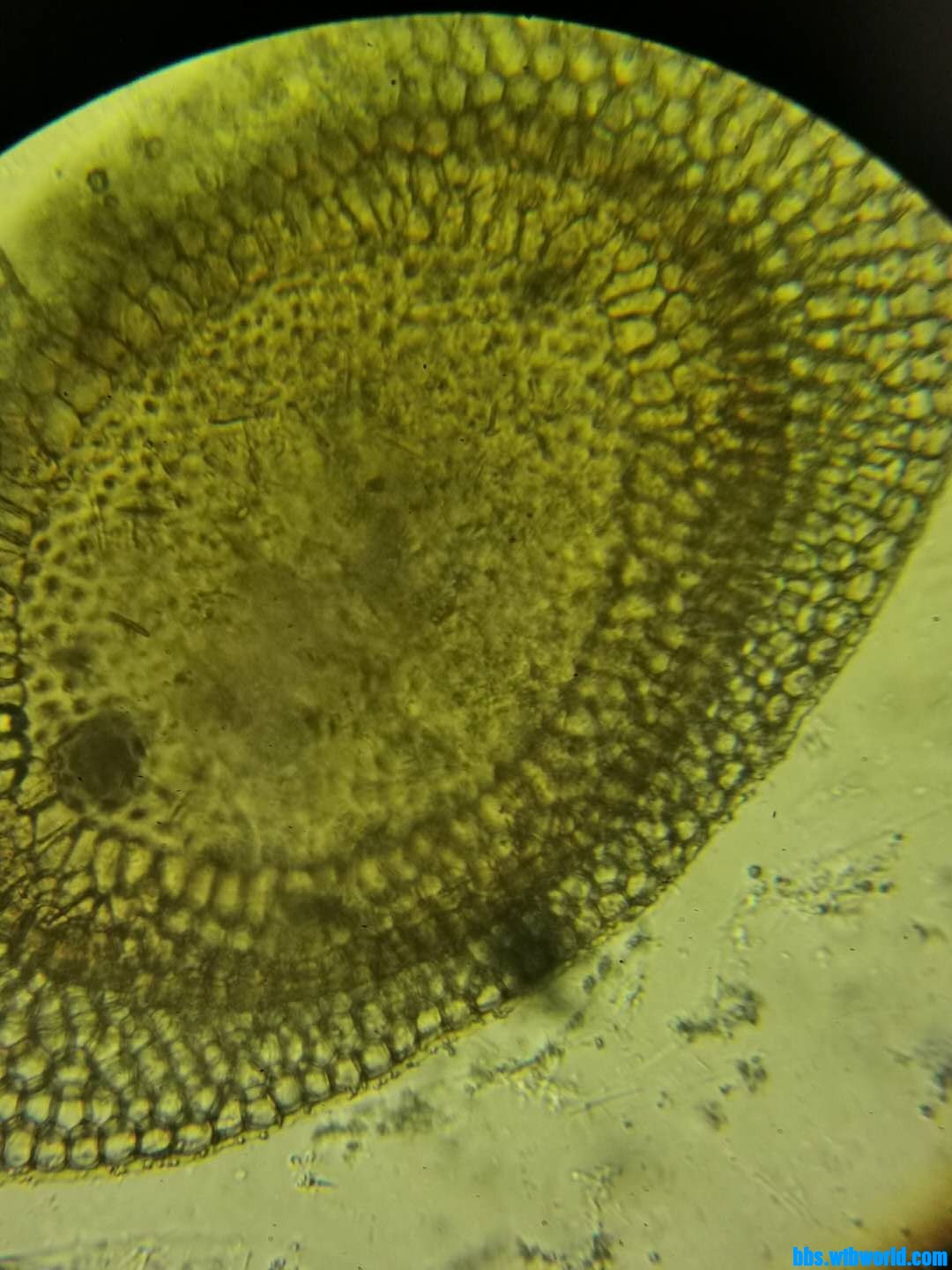 wechat_upload16040298455f9b8d95769fe