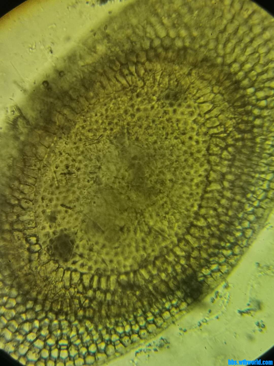 wechat_upload16040298455f9b8d954da5d