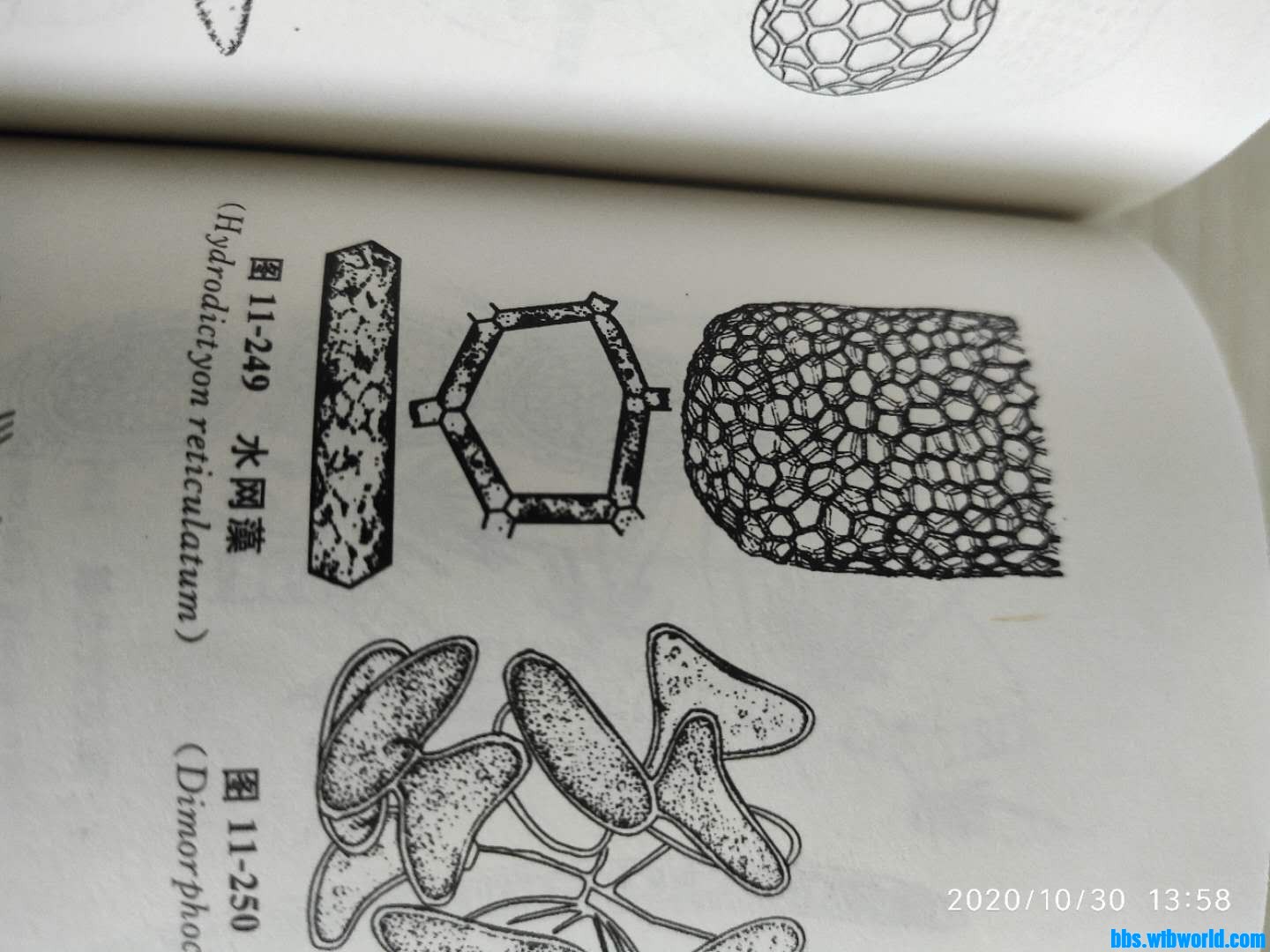 wechat_upload16040378185f9bacba1a0f7