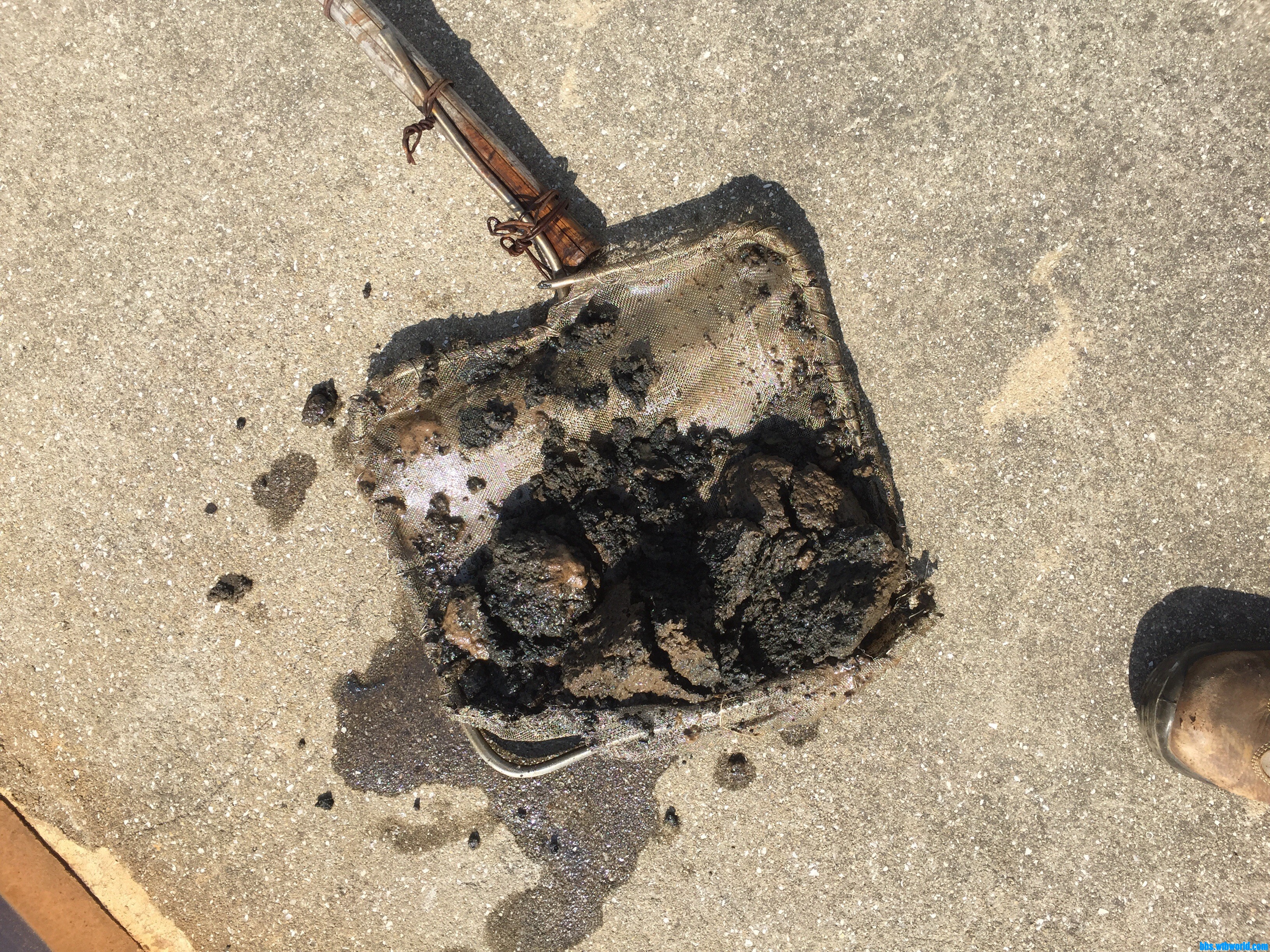 wechat_upload16045003125fa2bb5813ee2