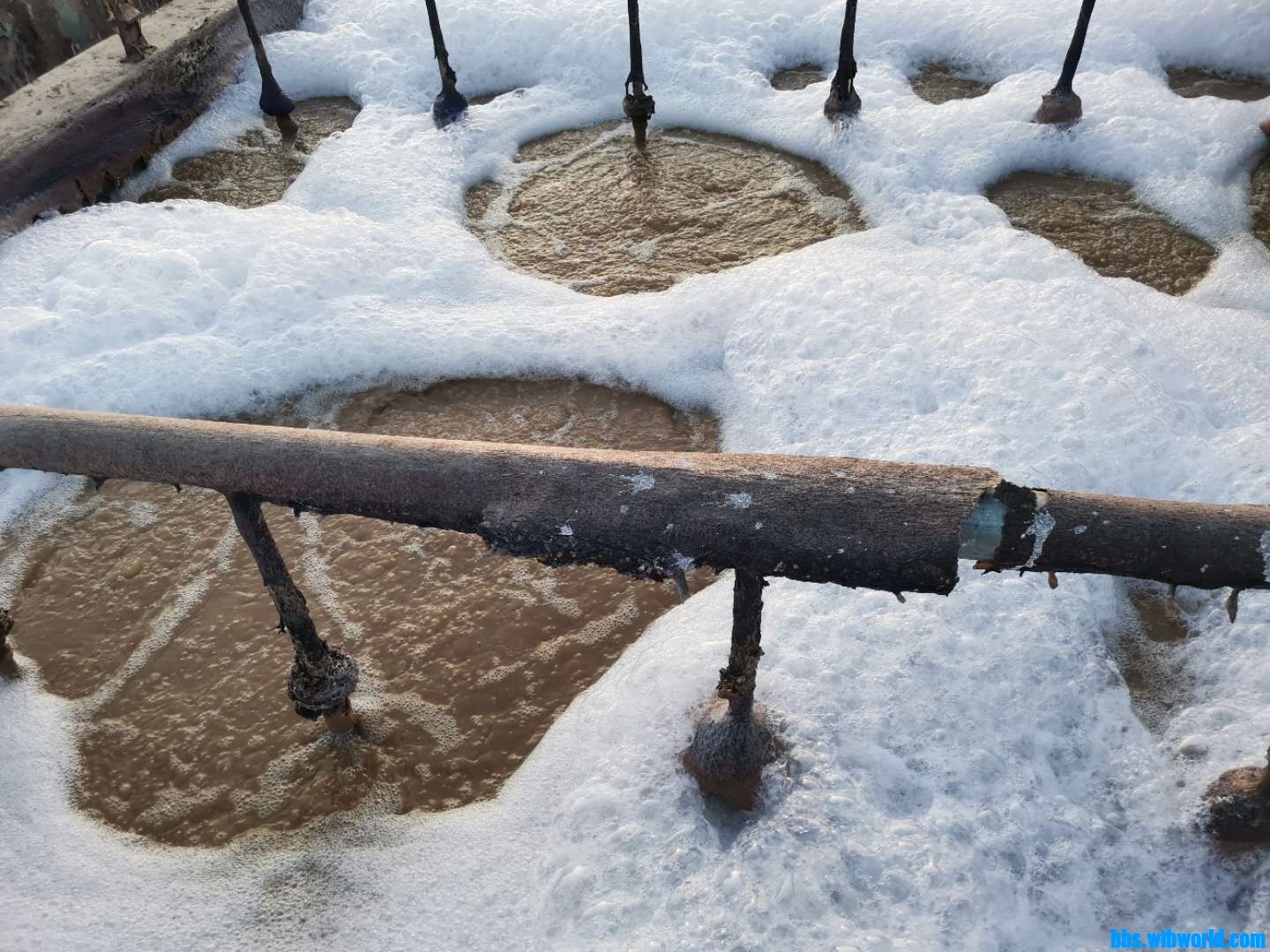 wechat_upload16046544595fa5157bf17b1