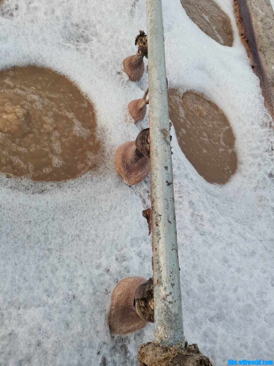 wechat_upload16046544605fa5157cd09a9