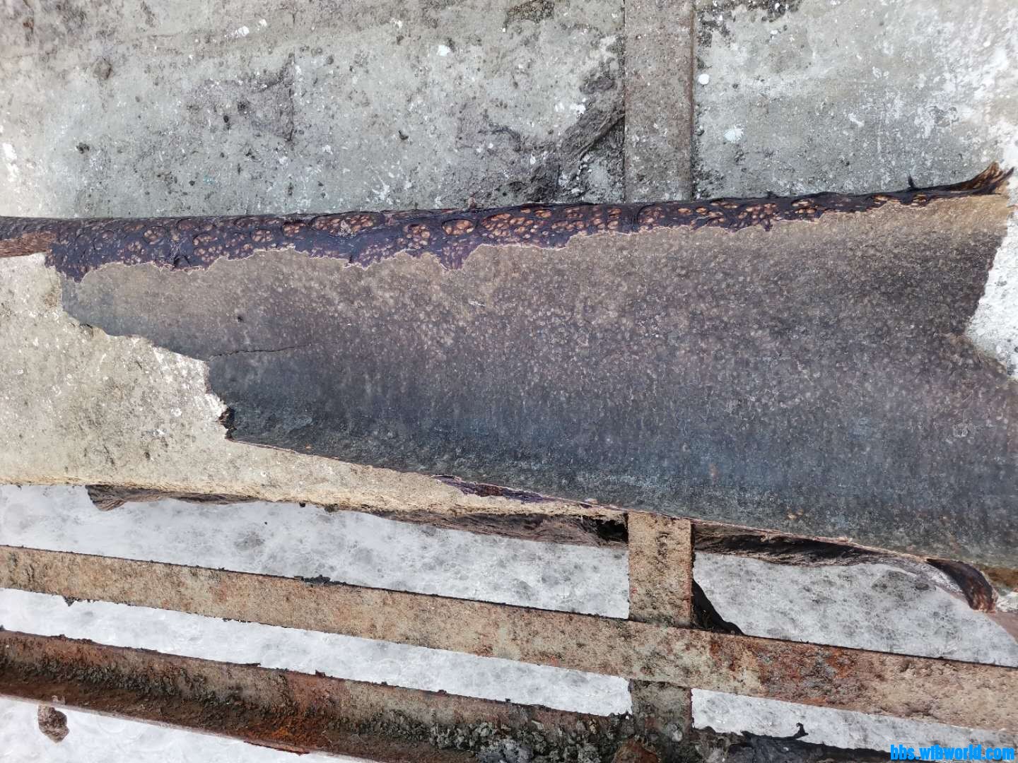 wechat_upload16046544605fa5157c68f28