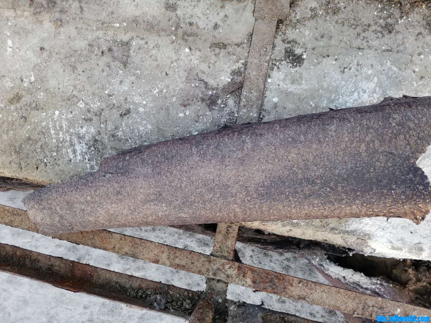 wechat_upload16046544605fa5157c354af