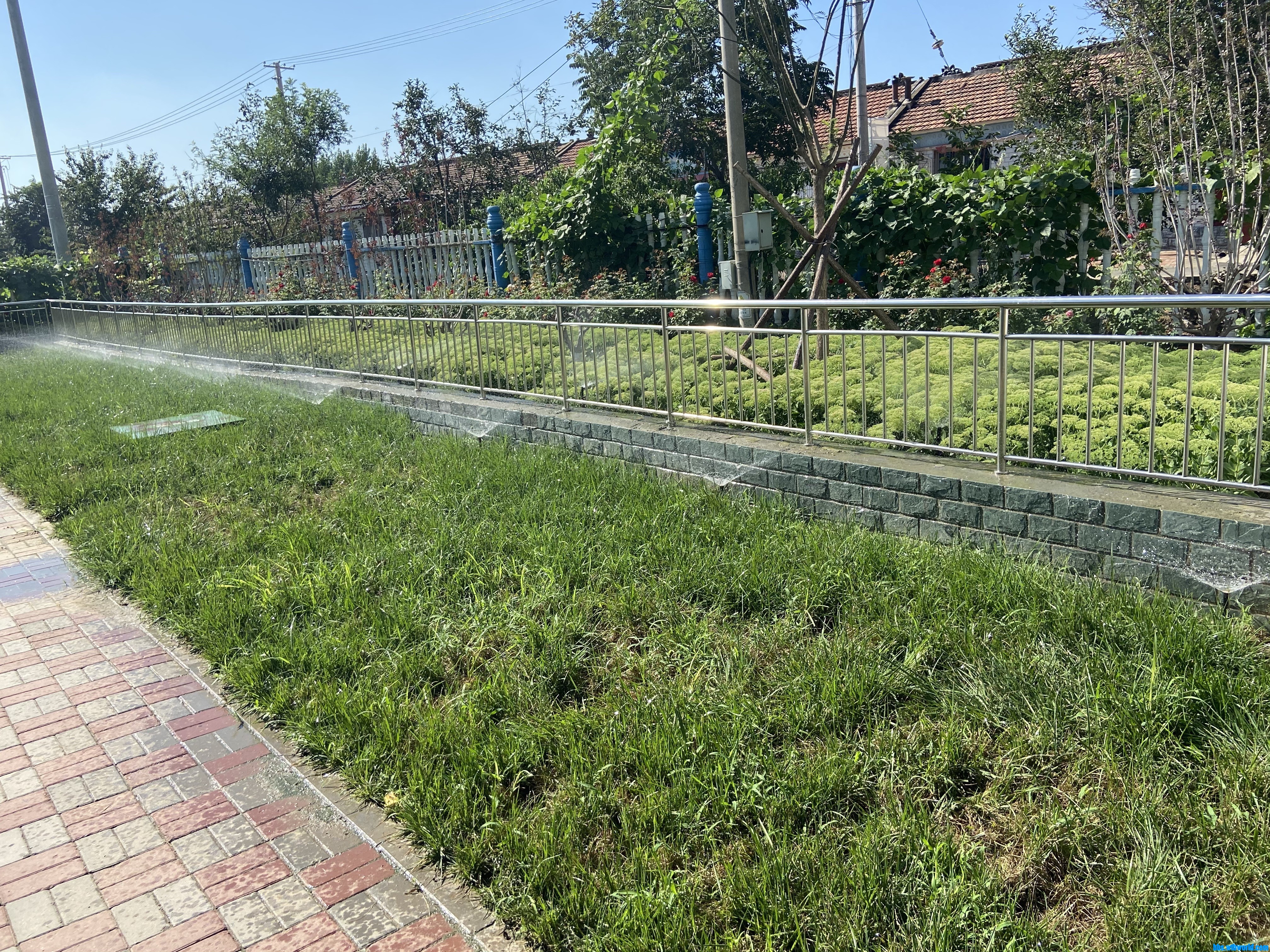 wechat_upload16049777465faa04521a35c