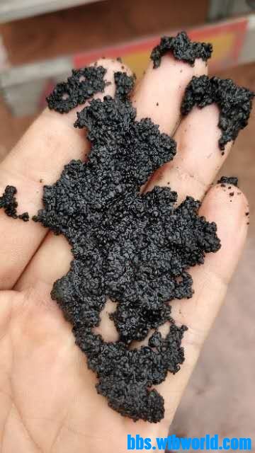 wechat_upload16054933755fb1e27fec8f5