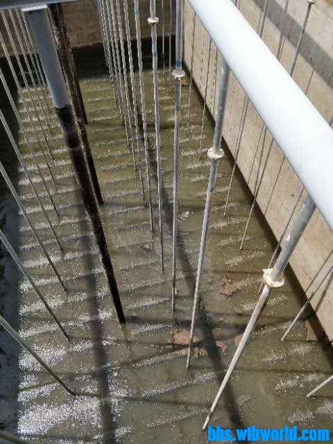 wechat_upload16054934905fb1e2f22cee1