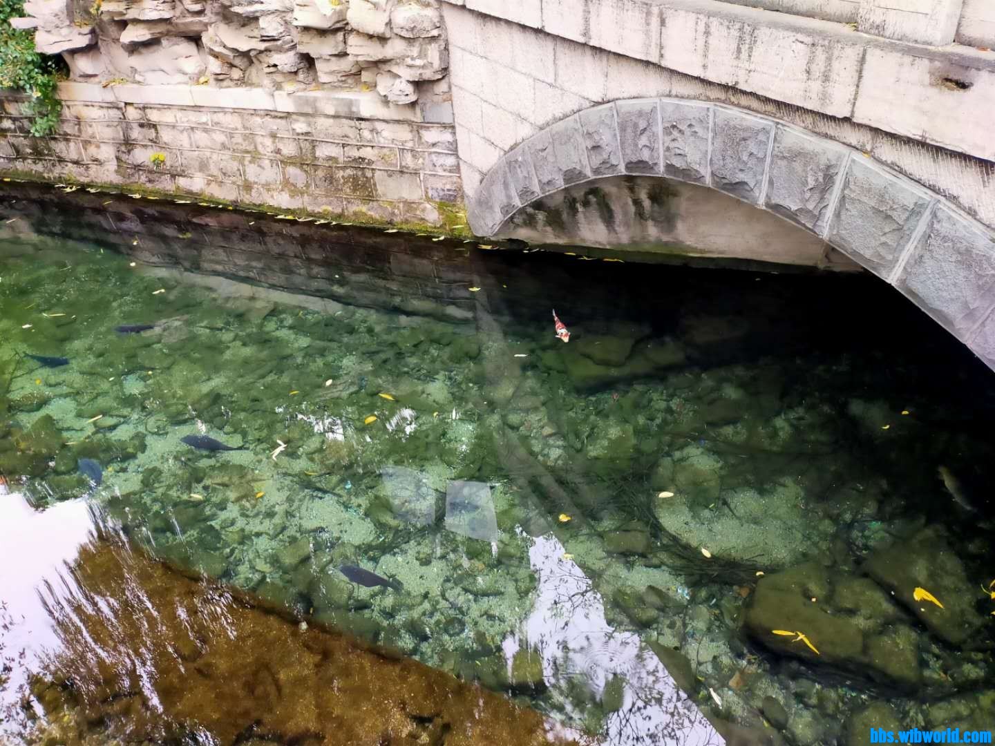 wechat_upload16056621305fb475b210a2f