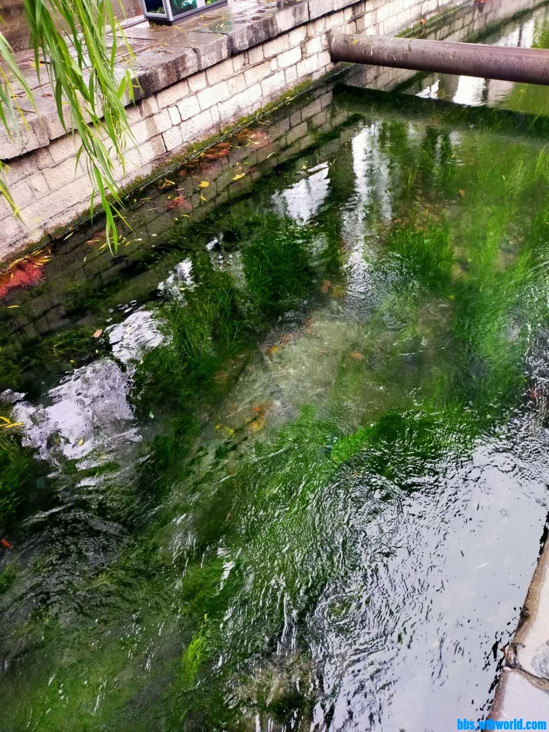 wechat_upload16056621305fb475b27563d