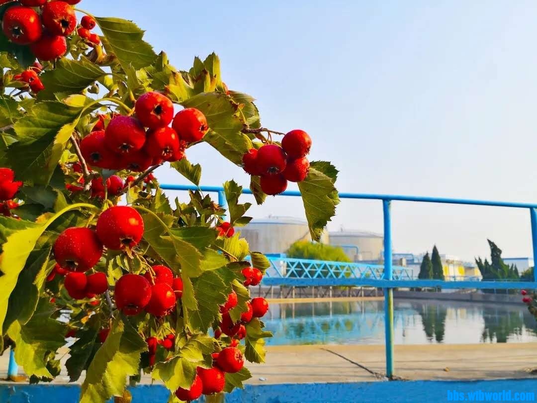 wechat_upload16062825185fbded16bce9b