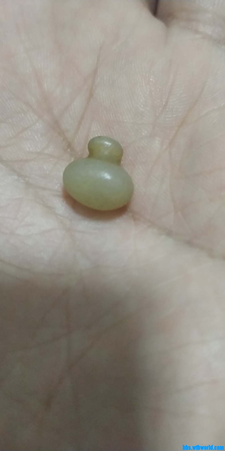 wechat_upload16091627225fe9dfe2a9327