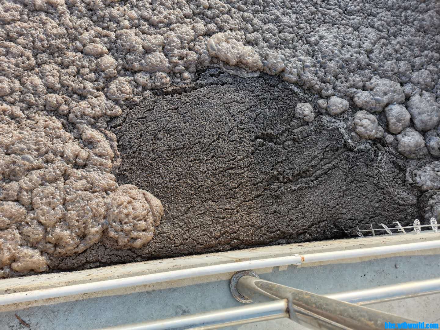 wechat_upload16092900065febd1164e4e7