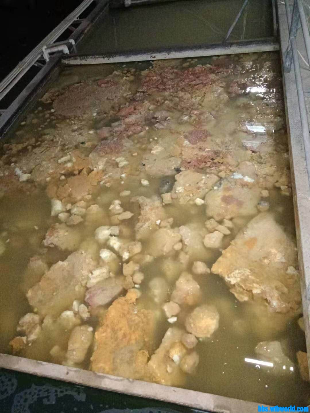 wechat_upload16093649715fecf5eb4e2f4