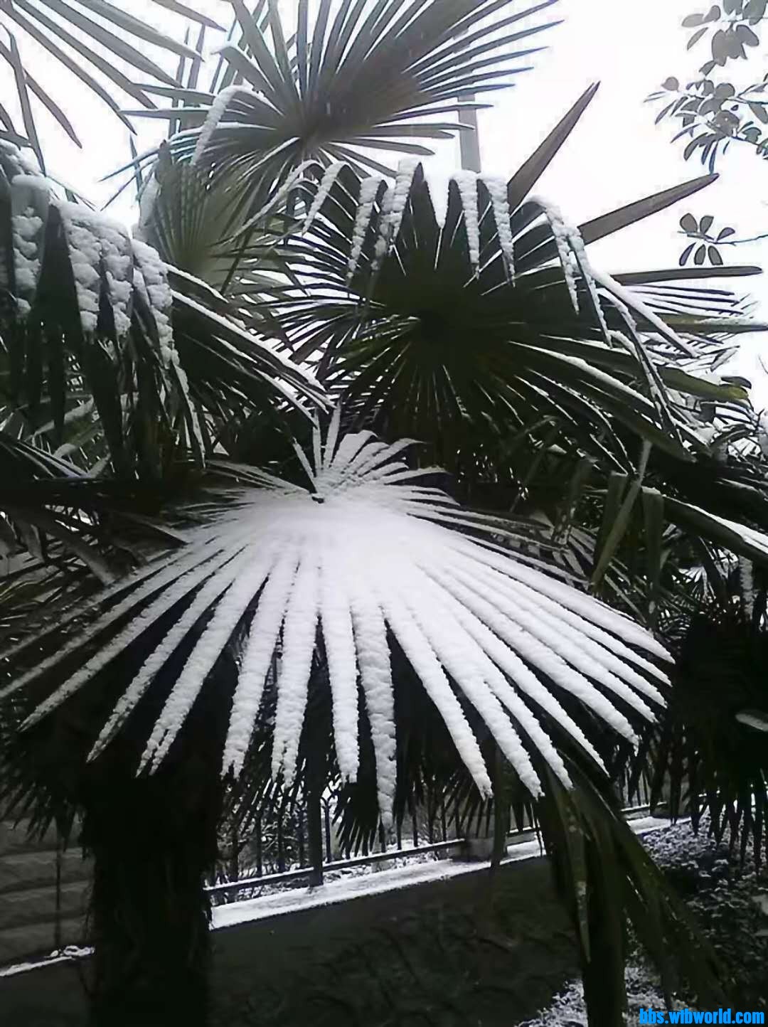 wechat_upload16094902675feedf5b5b94e