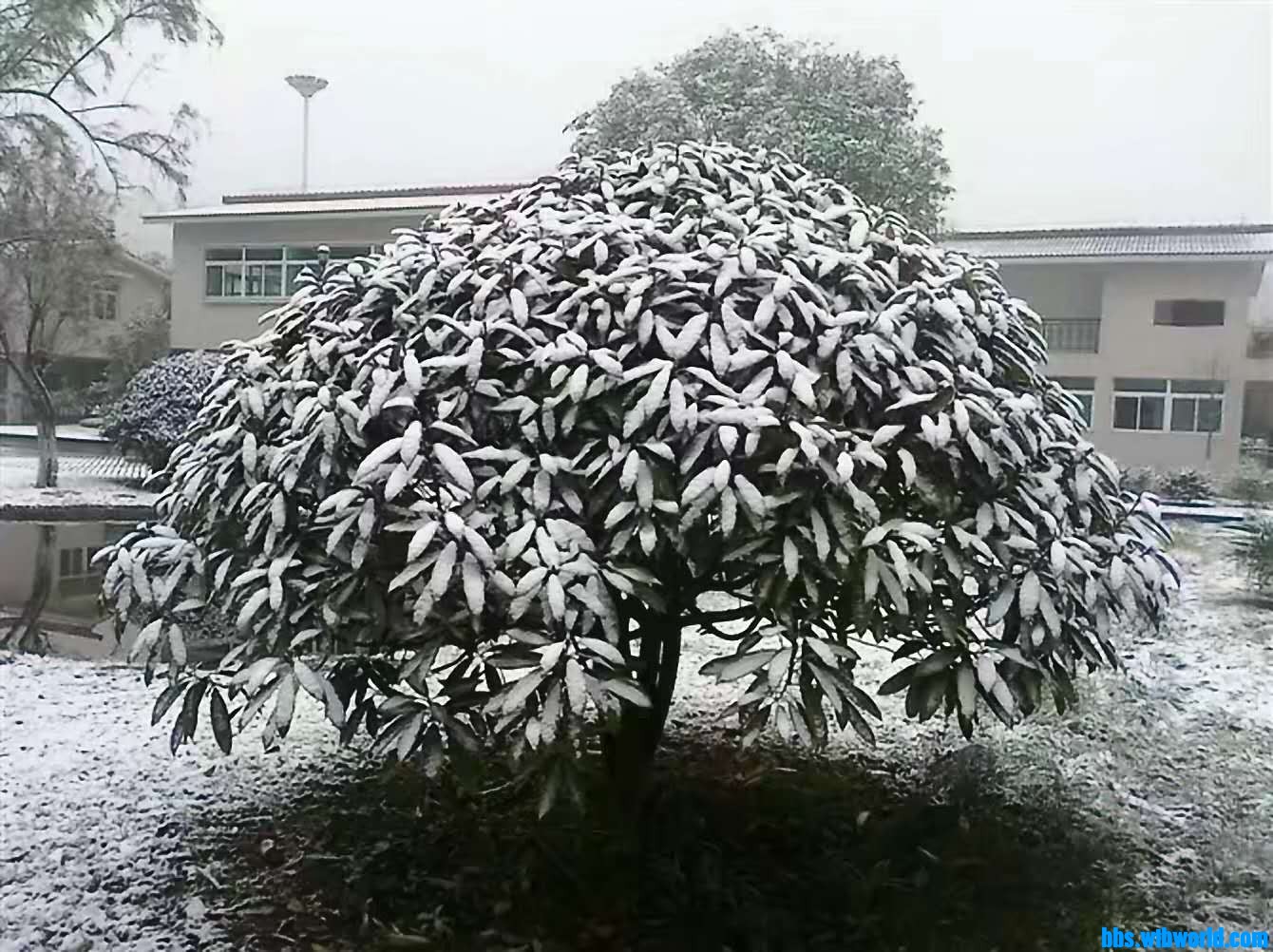 wechat_upload16094902675feedf5b8acad