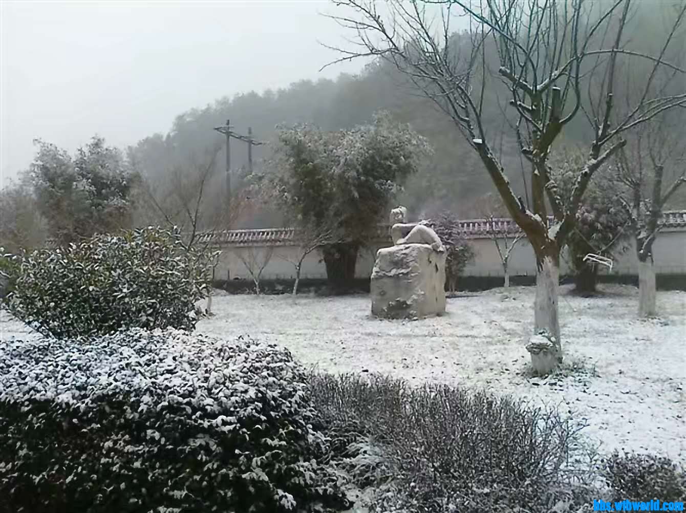 wechat_upload16094902685feedf5c78e1e