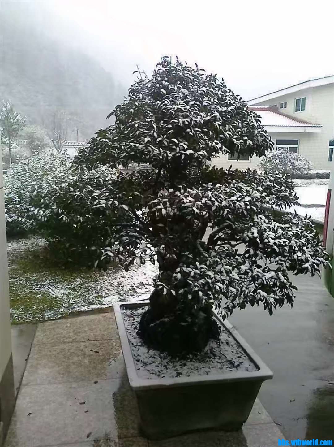 wechat_upload16094902685feedf5c21554