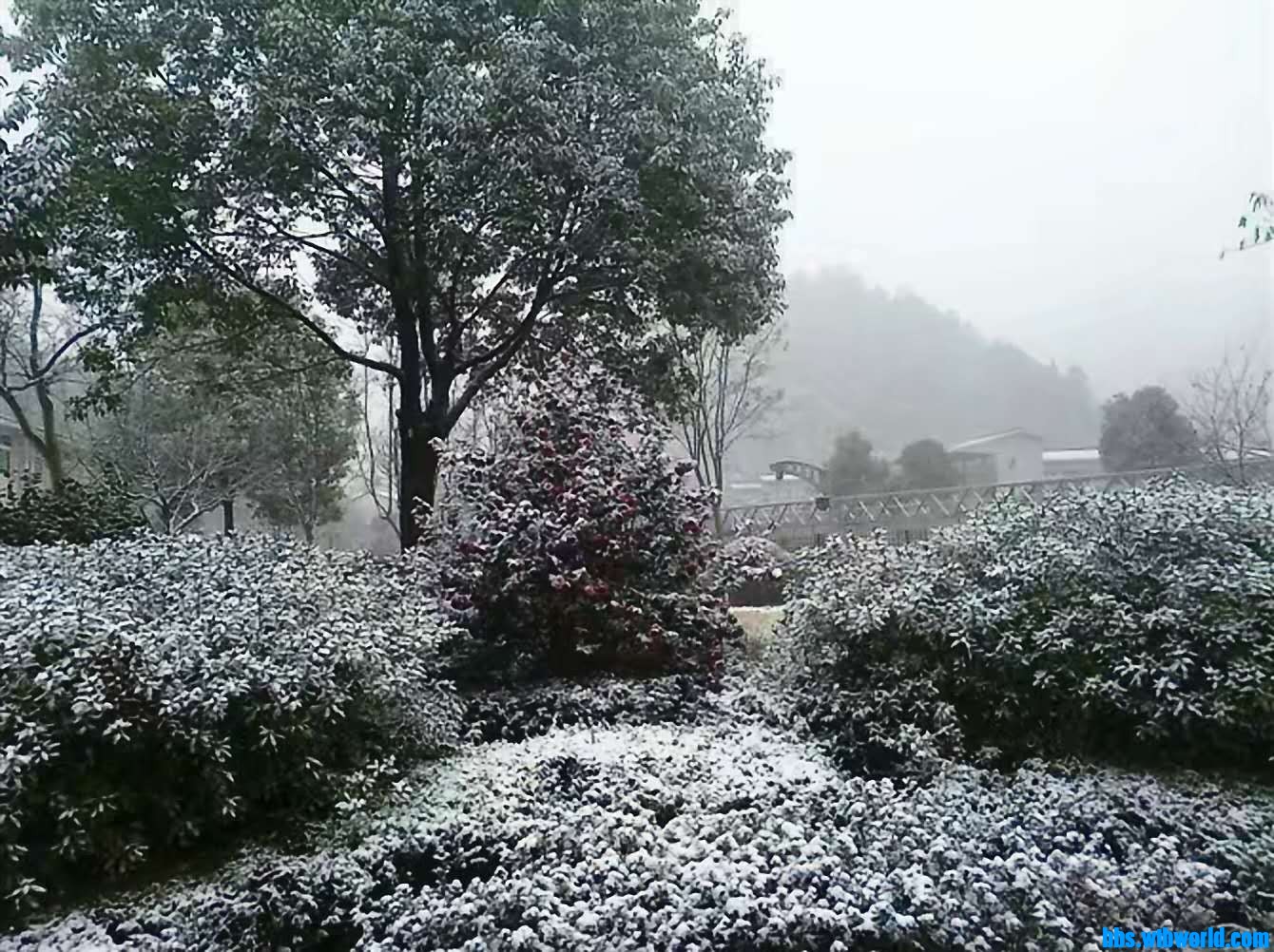 wechat_upload16094902685feedf5cddd79