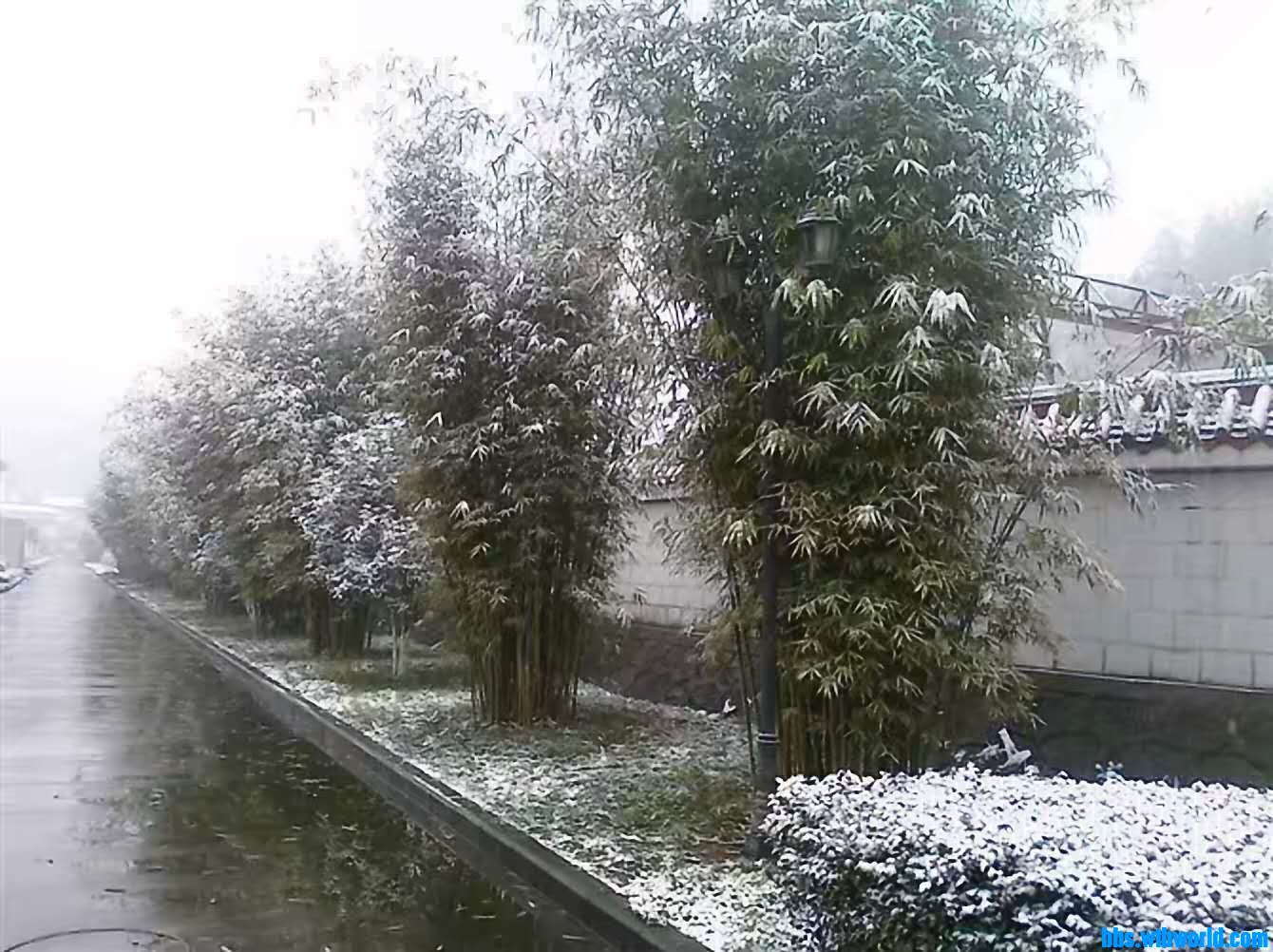 wechat_upload16094902695feedf5d13efe