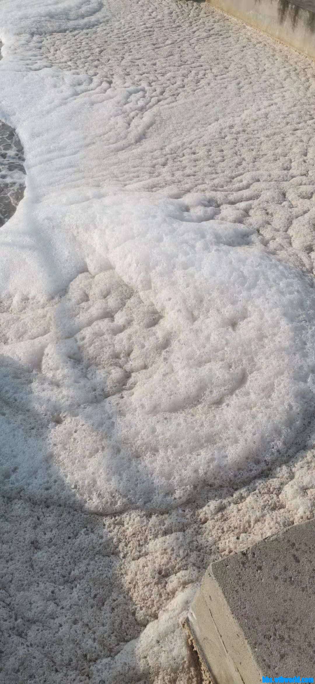 wechat_upload16096360335ff118c1d0c5c